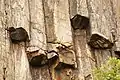 Colonnes rocheuses hexagonales près de East Dam au réservoir High Island.