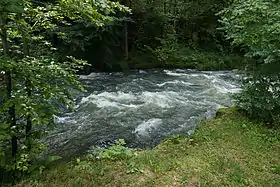 la Saine gonflée par des pluies .