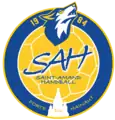 Logo du Saint-Amand Handball