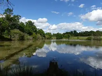 Étang à Saint-André-de-Double, près de Pouyoulet.