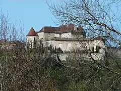 Le château du Puy-Saint-Astier.