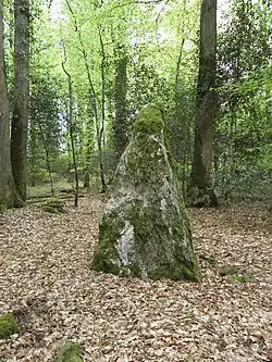Menhirs de la Forêt de Haute-Sève