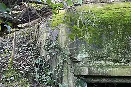 Bunker sous la végétation.