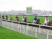 Photo de chevaux et jockeys à la queue leu leu sur un hippodrome.