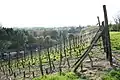 Le village vu depuis le vignoble.