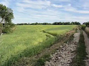 Saint-Erme-Outre-et-Ramecourt, chemin du vieux Laon menant au Camp des Romains.