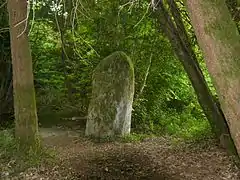 Le menhir de Fixard.