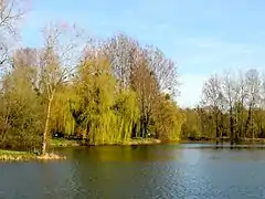 Les étangs de Saint-Félix, dans la vallée du Thérain.