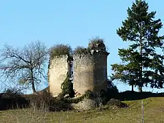Vestiges d'une tour d'angle du château de Rochemorin.