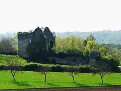 Les ruines du château de la Renaudie.