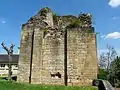 Ruines du vieux château de Saint-Geniès