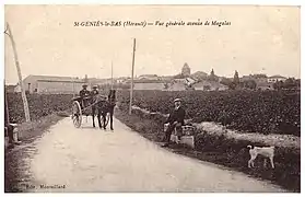 Vue générale avenue de Magalas (avenue de la République).