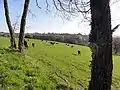 Paysage à Ouches.