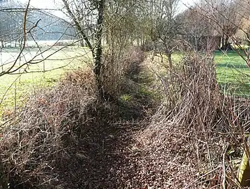 Le lit à sec du ruisseau de Saint-Geyrac près des Taupinies.