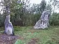 Menhirs de la Mère et la Fille.