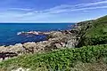 Falaises entre la plage de Saint-Jean-du-Doigt et Beg an Fri.