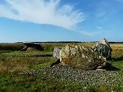 Menhirs de Pierre levée