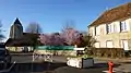 Le puits devant la mairie,et l'église Saint-Loup