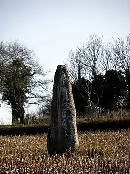 Menhir dit La Roche Longue