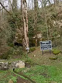 Source qui sort d'une grotte dans une falaise au bord de la RD 75, sur le territoire de Saint-Martin-le-Pin.