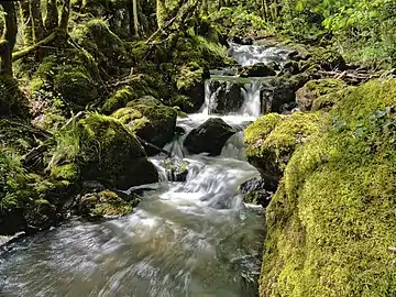 Cascade sur le ruisseau de Porte-Étoupe juste en amont de sa confluence avec l'Auvézère.