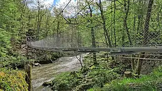 La passerelle suspendue de 47 m sur l'Auvézère en amont du Saut Ruban.