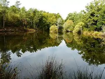 Un étang à proximité du bourg de Saint-Michel-de-Double.