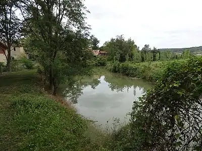 La Grande Baïse à Saint-Michel, avant qu'elle ne rencontre la Baïsole.]