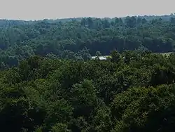 La forêt de la Double, dans l'ouest.