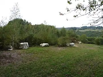 Le site de la Roche blanche en 2009.