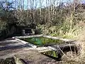 Le lavoir de la Mane (janvier  2010)