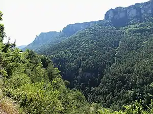 Les gorges de la Jonte en limite de Veyreau (à droite) et Saint-Pierre-des-Tripiers (au premier plan à gauche).