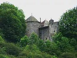 Le château de Bonnebaud.