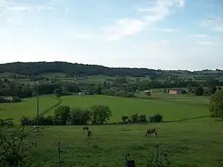 En arrière-plan, on peut apercevoir la chapelle Saint Jean des vignes.