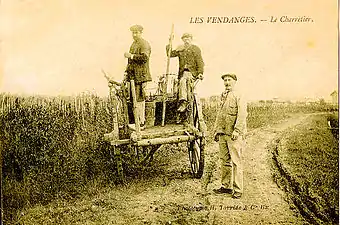 Vendange, à Saint-Pourçain, transportée en bacholles.