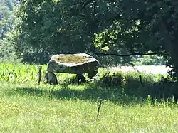 Le dolmen de Saint-Hilaire.