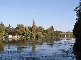 Chaussée des Tacreniers, vue amont. En arrière-plan, le pont de la D2020 et du tramway