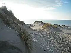L'action du vent a façonné la crête des dunes en « crocs ».