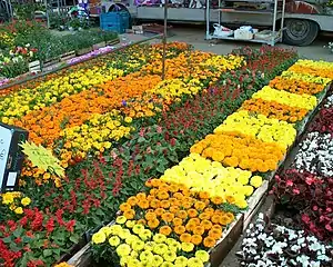 Marché aux fleurs aux Champs-Élysées  en 2008.