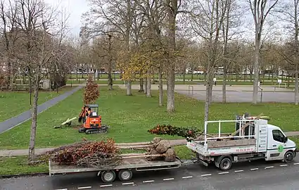 Plantation de nouveaux arbres en décembre 2020.