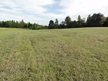 À partir du Camp des Romains, la vue s'étend vers la plaine à l'est.