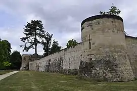 Muraille et son cèdre centenaire (au fond, la tour du Saint-Esprit).