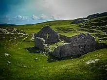 Ruines de l'église de Saint Feichin