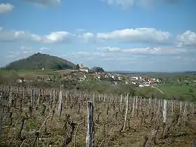 Vigne taillée en guyot en premier plan du village viticole de Saint-Lothain.