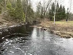 Rivière au Lard, chemin forestier privé