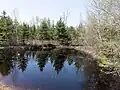 Alternance de mares, de milieux arbustifs et boisés, Saint-Maurice