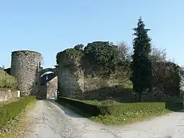 Ruines du château de Saint-Michel.