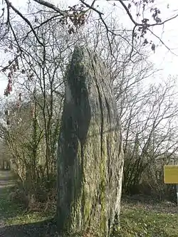 Menhir de Pierrefrite.