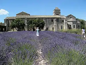 L'église vue du jardin.