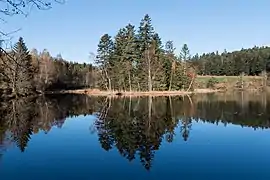 La Tourbière flottante de Saint-Régis-du-Coin dans le parc naturel régional du Pilat, dans le sud-est.